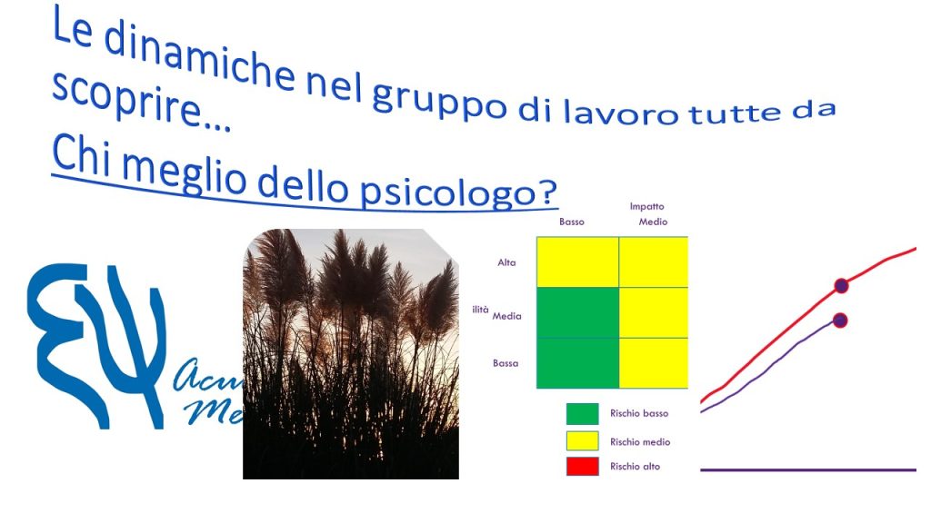 Le dinamiche nel gruppo di lavoro Project Management