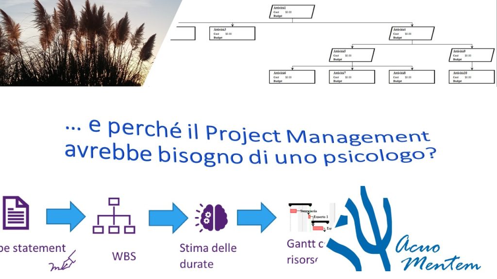 e perché il Project Management avrebbe bisogno di uno psicologo?