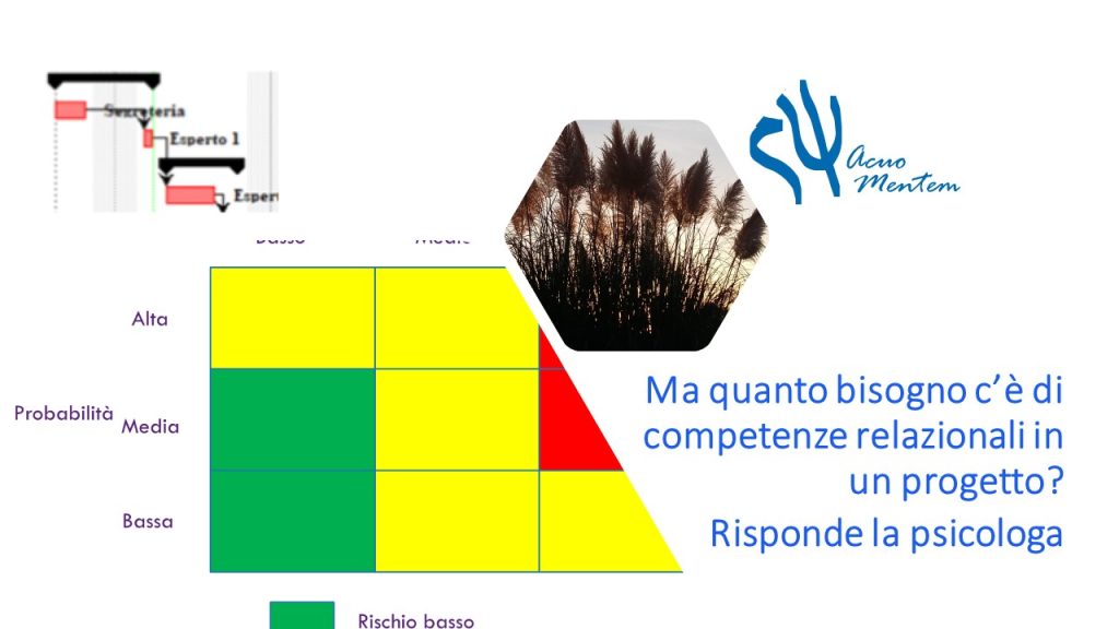 Psicologia di processi - problemi relazionali nei progetti? Project Management